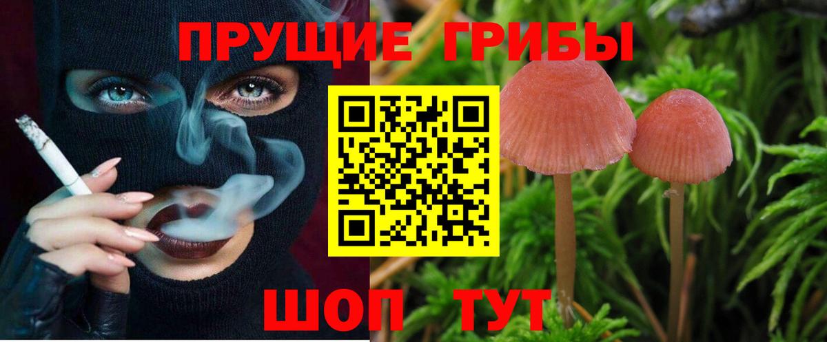 Галлюциногенные грибы Magic Shrooms Знаменск