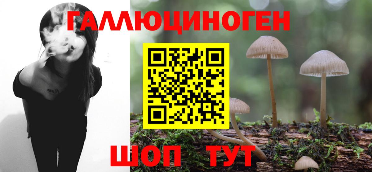 Псилоцибиновые грибы Magic Shrooms  Галлюциногенные грибы мицелий  Вход с VPN  как найти закладки  Знаменск 